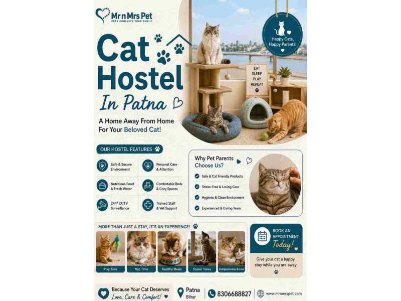 cat-hostel-in-patna-small-0