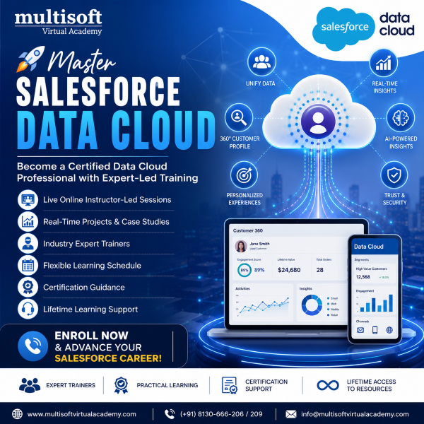 salesforce-data-cloud-training-big-0