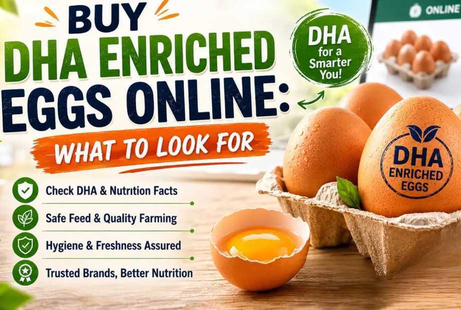 buy-dha-enriched-eggs-online-what-to-look-for-big-0