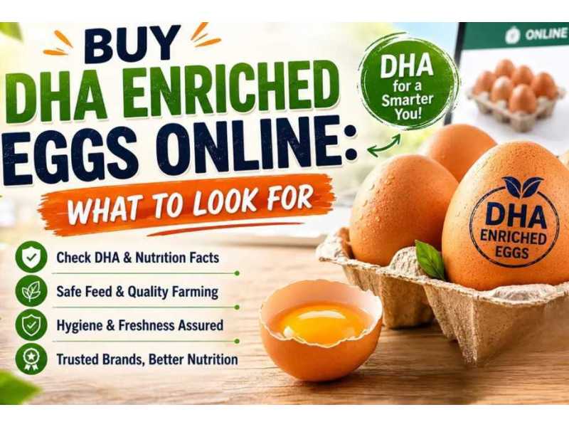 buy-dha-enriched-eggs-online-what-to-look-for-small-0