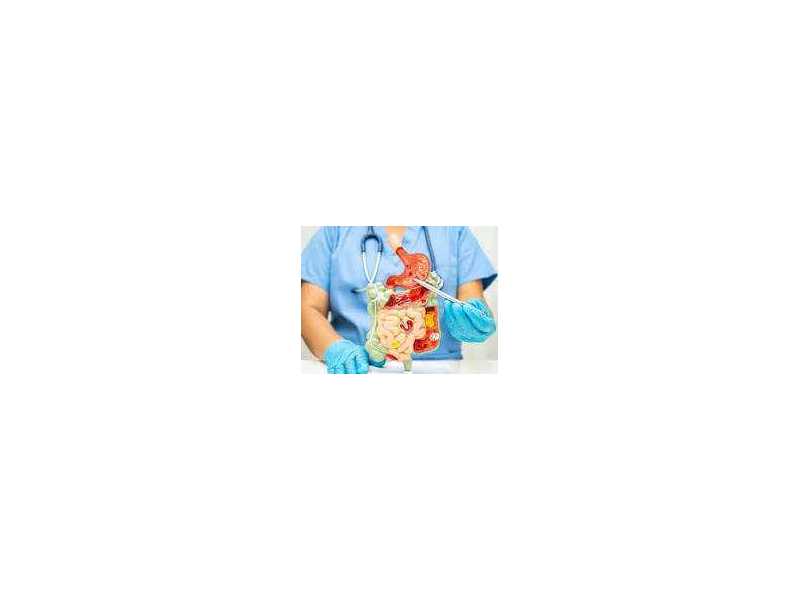 precision-endoscopy-services-by-the-best-endoscopist-ludhiana-small-0