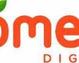 tech-platform-development-company-in-gurugram-pomelo-digital
