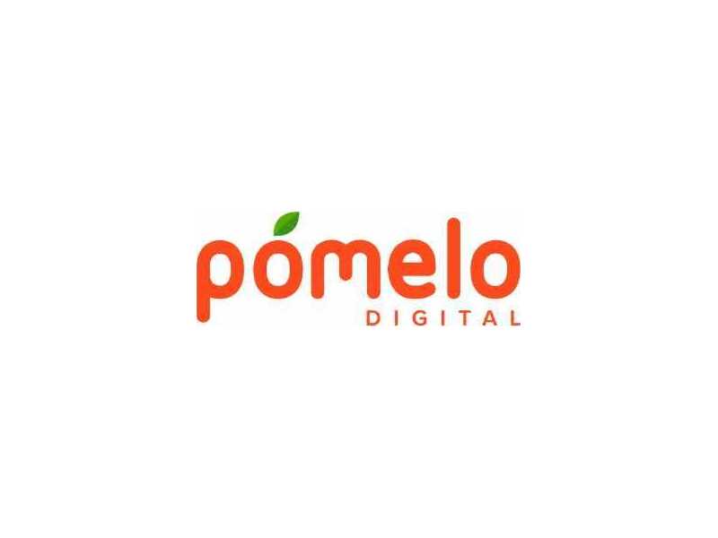 tech-platform-development-company-in-gurugram-pomelo-digital-small-0