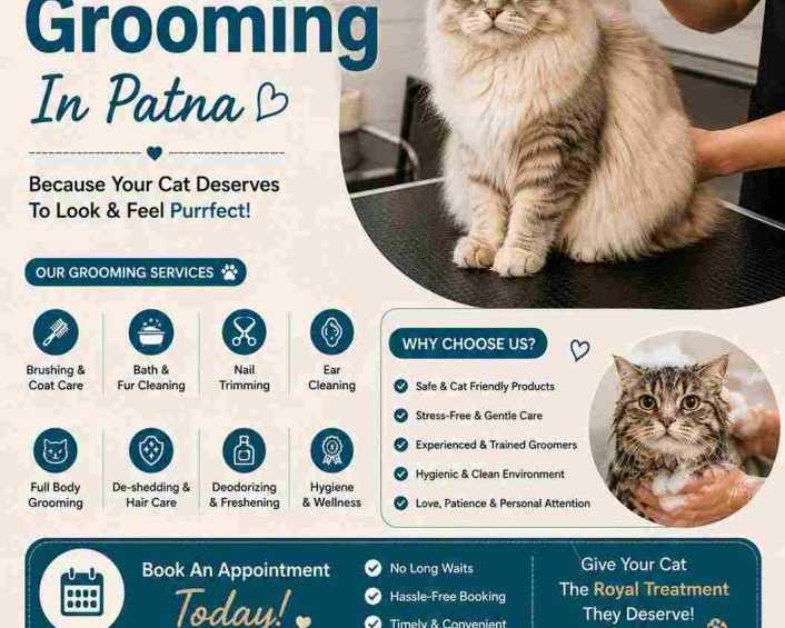 cat-grooming-in-patna