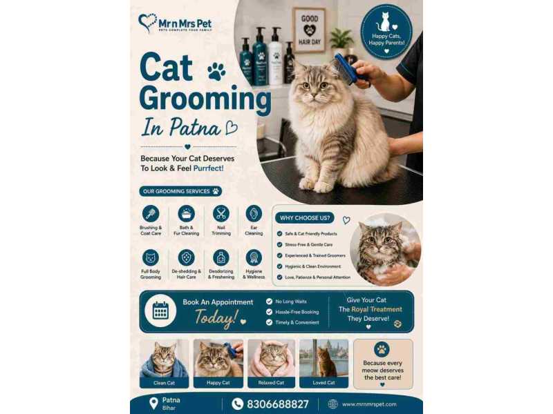 cat-grooming-in-patna-small-0