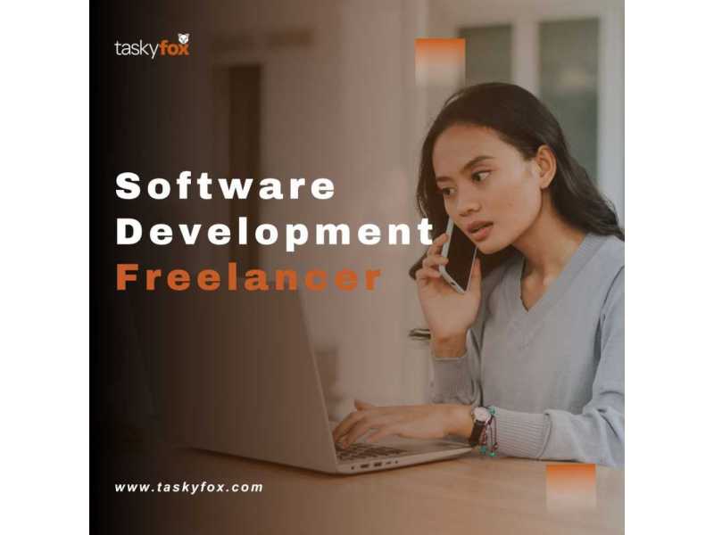 software-development-freelancer-in-gurgaon-small-0