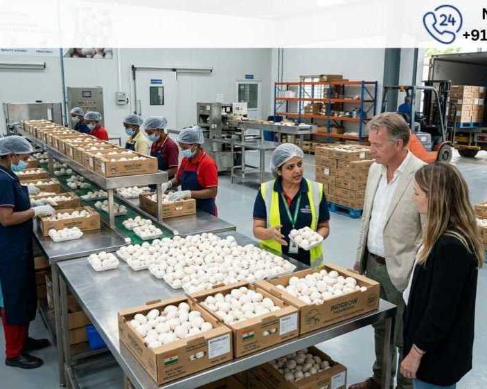 best-mushroom-exporter-in-india-for-bulk-orders