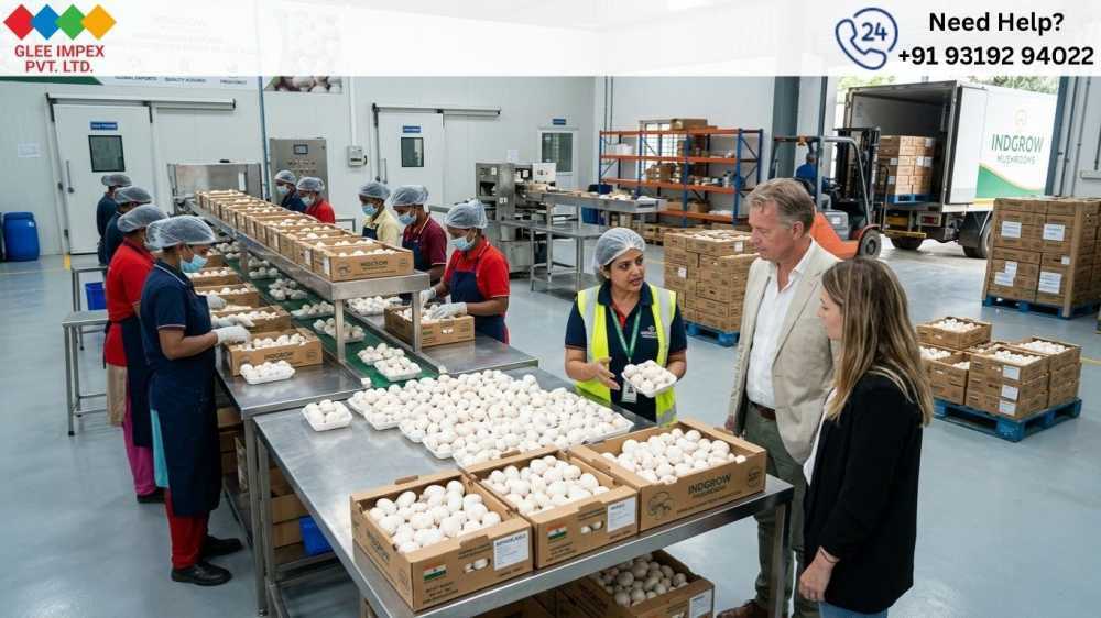 best-mushroom-exporter-in-india-for-bulk-orders-big-0