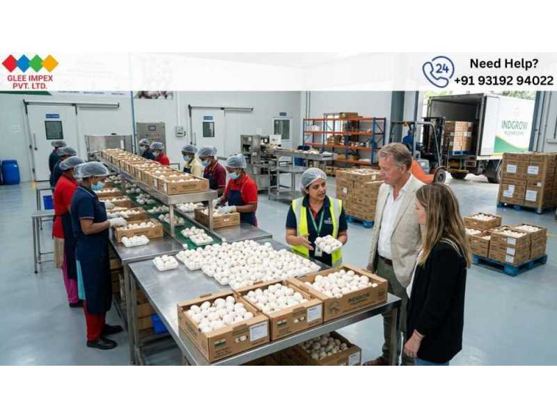 best-mushroom-exporter-in-india-for-bulk-orders-small-0