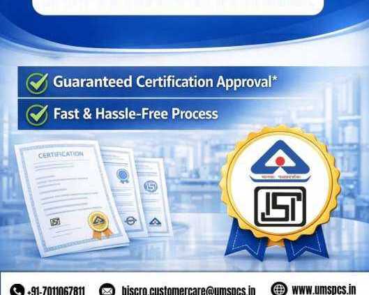 who-are-the-top-bis-consultants-in-delhi