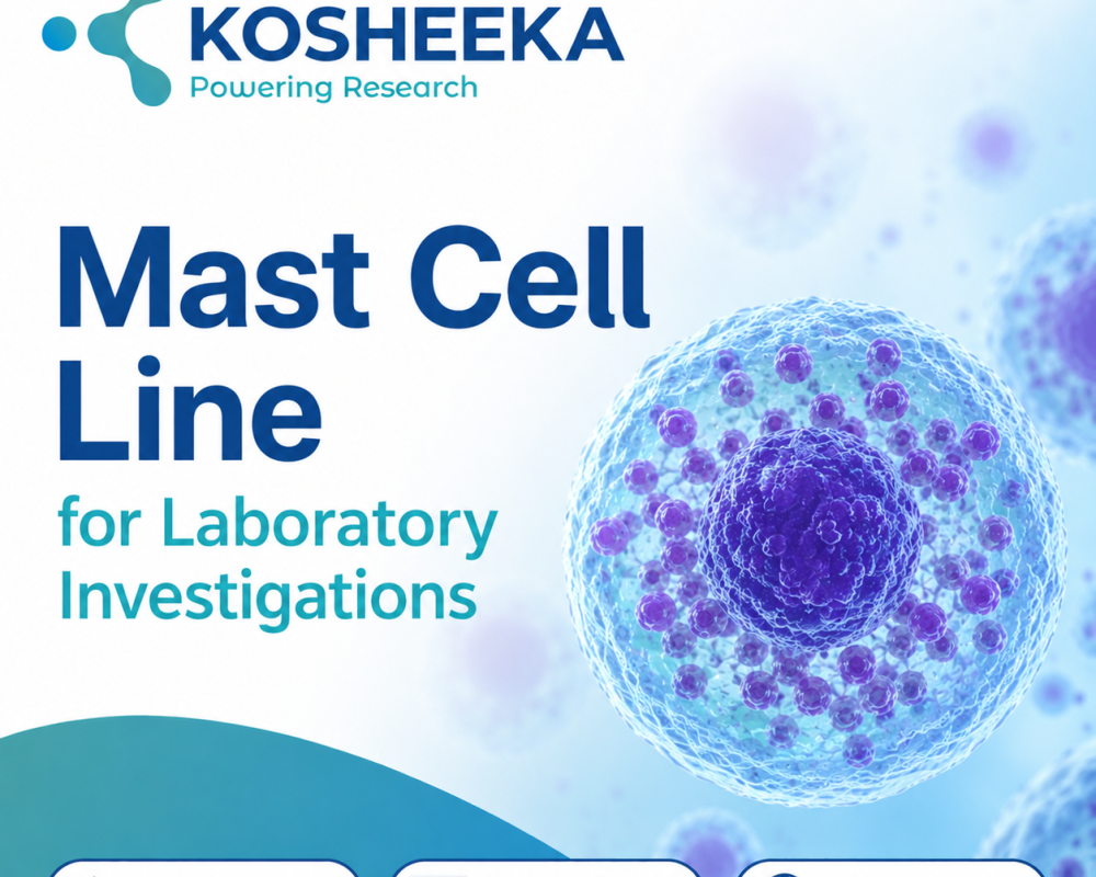 mast-cell-line-for-laboratory-investigations