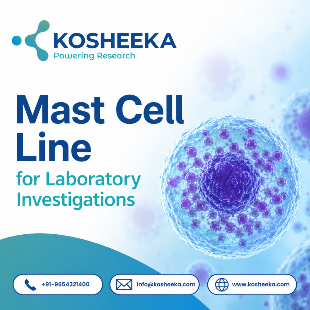 mast-cell-line-for-laboratory-investigations-big-0