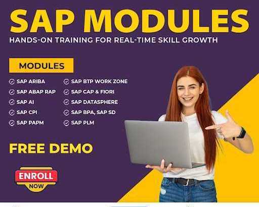 master-sap-skills-boost-your-career-with-visualpath