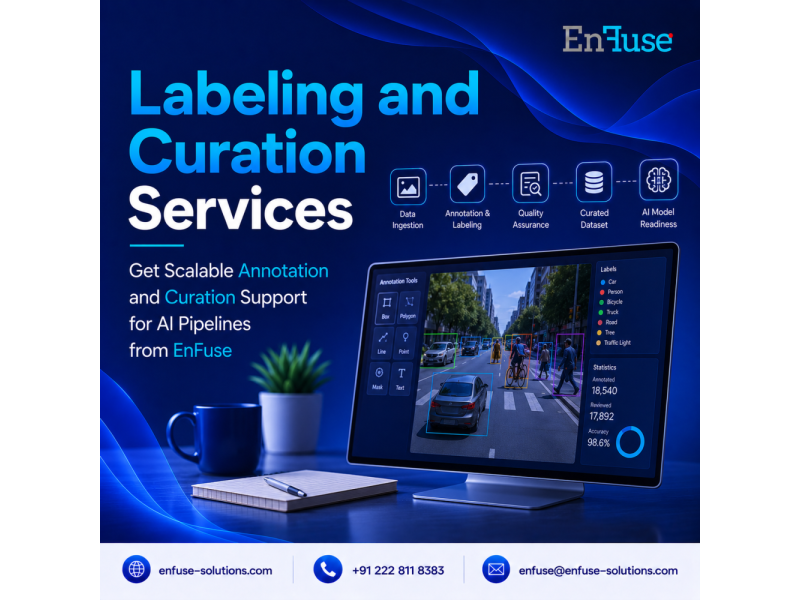 get-scalable-annotation-and-curation-support-with-enfuse-small-0