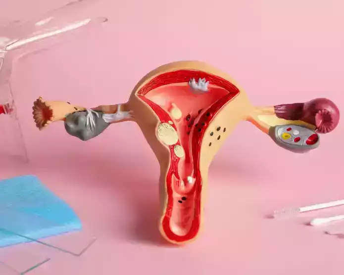 what-makes-the-best-fertility-centre-in-kolkata-reliable