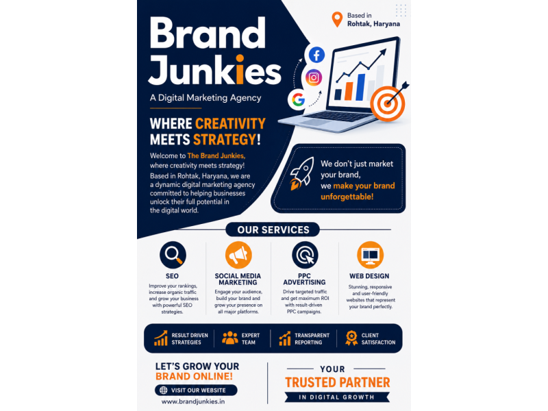 the-brand-junkies-digital-marketing-agency-in-rohtak-small-0
