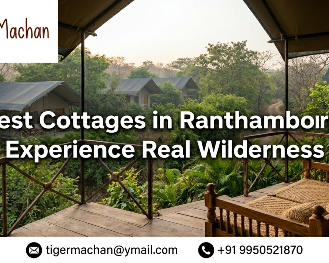 best-cottages-in-ranthambore-experience-real-wilderness