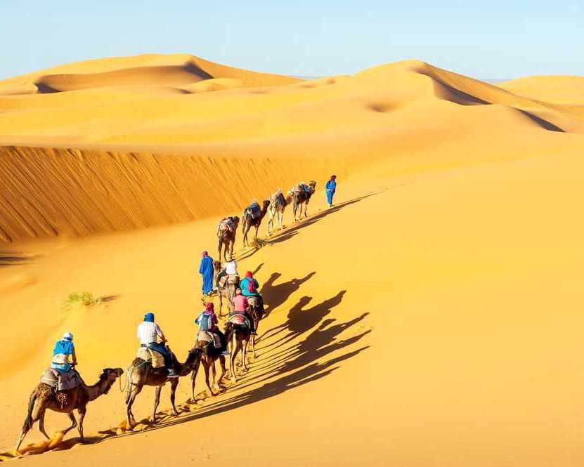 desert-safari-in-jaisalmer-explore-the-magic-of-the-golden-dunes