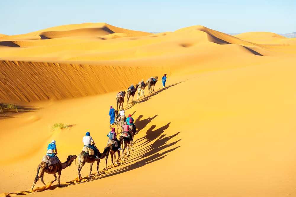 desert-safari-in-jaisalmer-explore-the-magic-of-the-golden-dunes-big-0