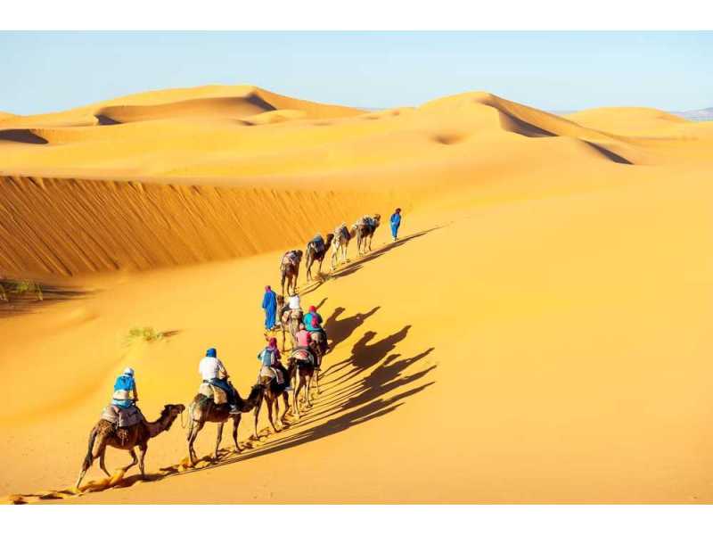 desert-safari-in-jaisalmer-explore-the-magic-of-the-golden-dunes-small-0
