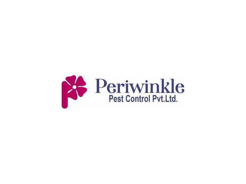 pest-control-services-in-ghaziabad-periwinkle-small-0