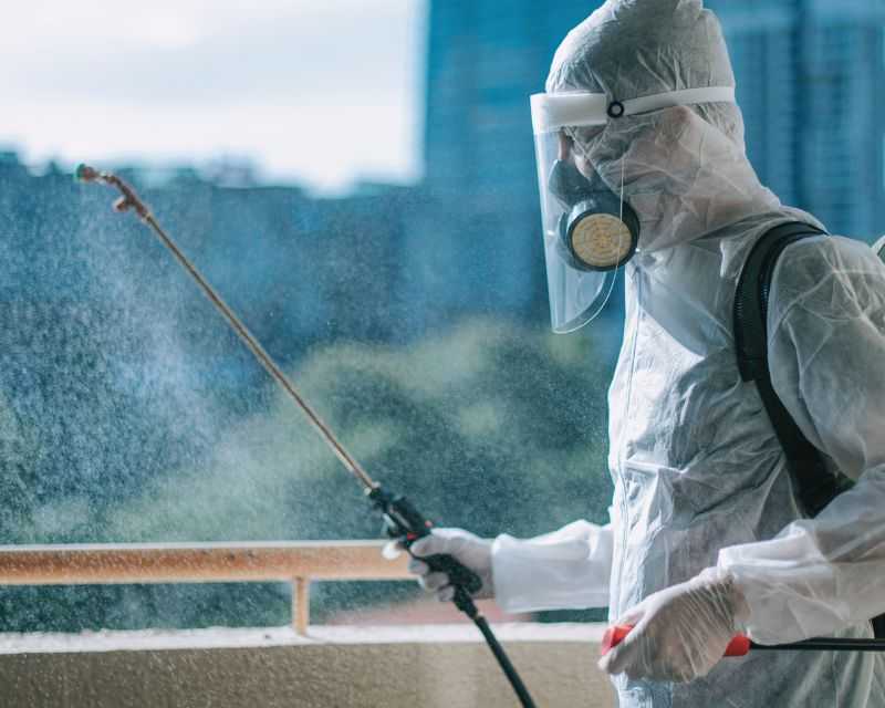 pest-management-services-in-gurgaon-safe-effective-pest-control