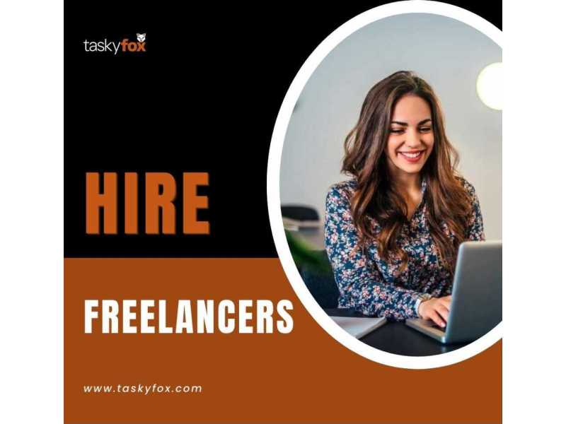 hire-freelancers-by-taskyfox-small-0