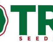hybrid-chilli-seeds-supplier-in-india-with-advanced-seed-solutions