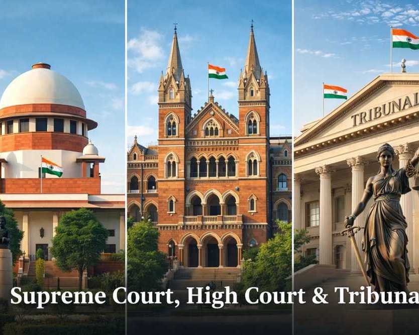 ace-supreme-court-advocate-for-appeal-litigation-representation