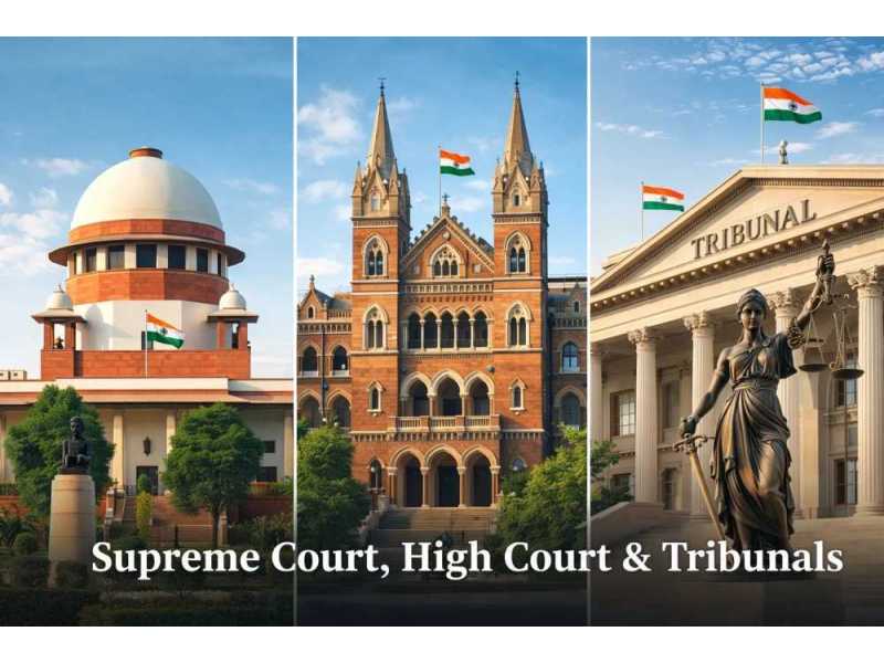 ace-supreme-court-advocate-for-appeal-litigation-representation-small-0
