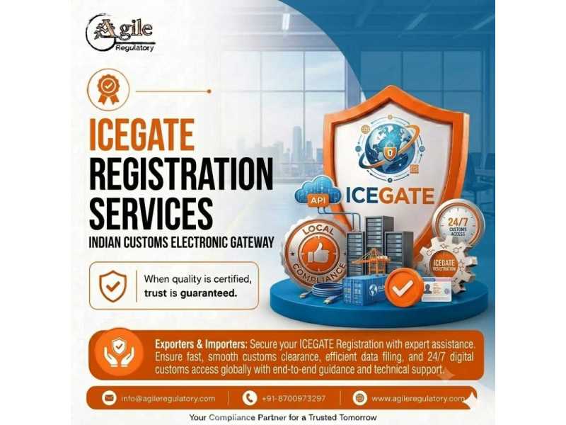 icegate-registration-services-for-hassle-free-customs-clearance-india-small-0