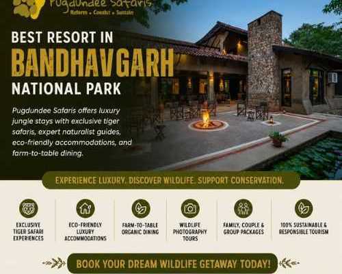 best-resort-in-bandhavgarh-national-park-pugdundee-safaris