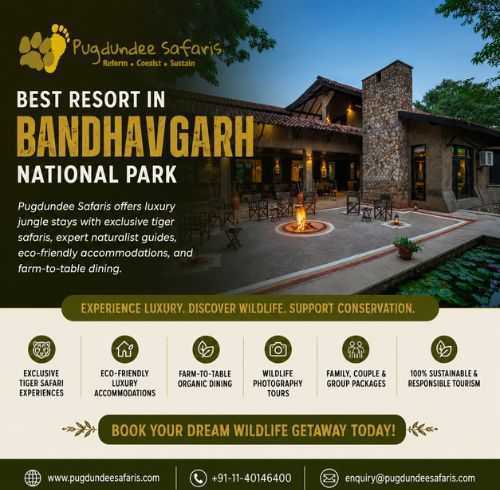 best-resort-in-bandhavgarh-national-park-pugdundee-safaris-big-0