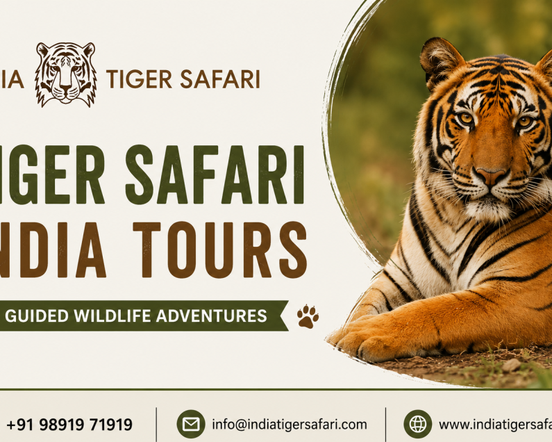 tiger-safari-india-tours-guided-wildlife-adventures