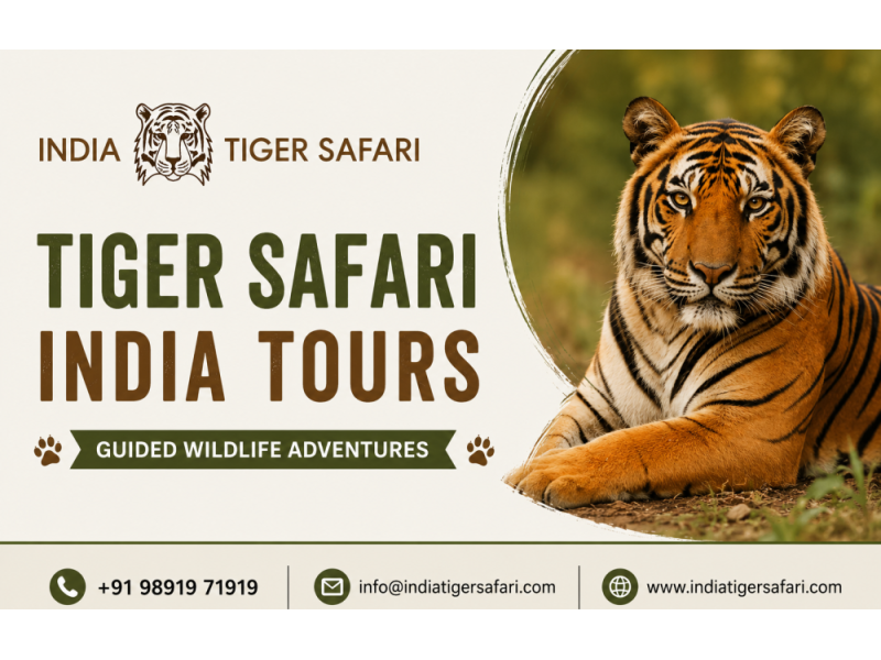 tiger-safari-india-tours-guided-wildlife-adventures-small-0