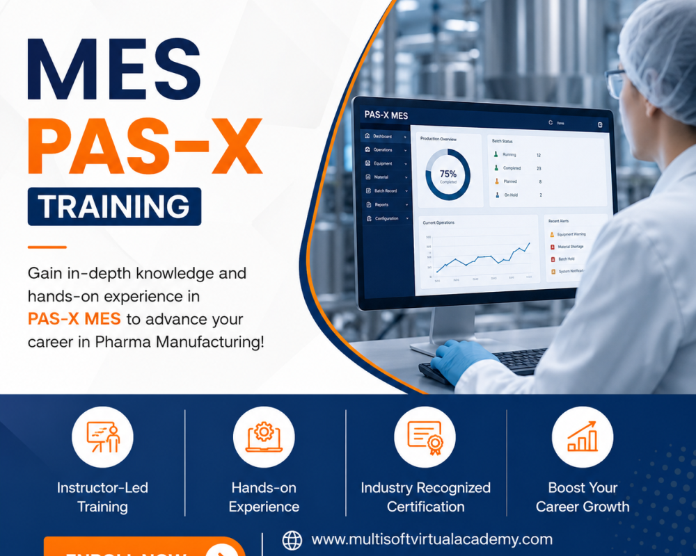 mes-pas-x-training-certification-course-online