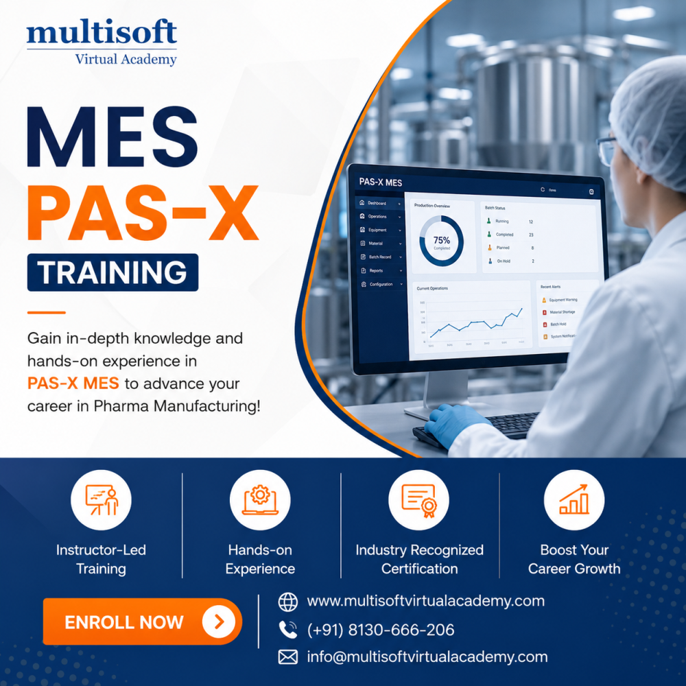 mes-pas-x-training-certification-course-online-big-0