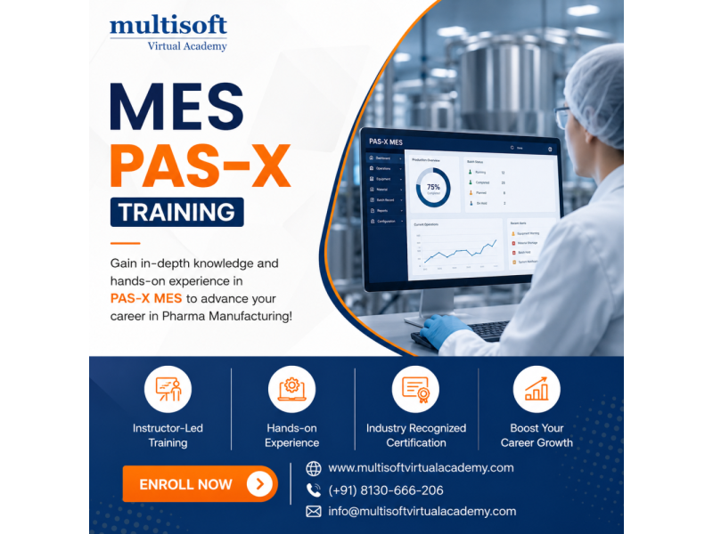 mes-pas-x-training-certification-course-online-small-0