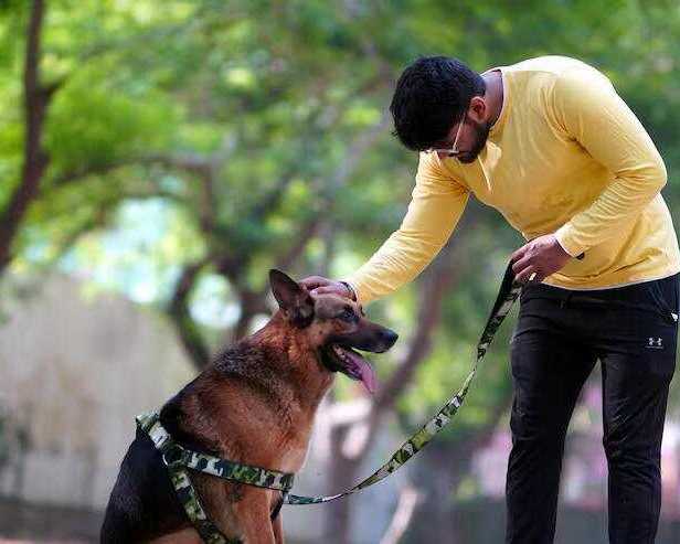 dog-training-service-in-bhopal