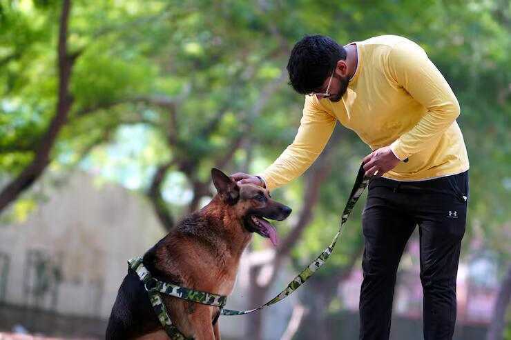 dog-training-service-in-bhopal-big-0