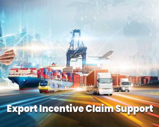 export-incentive-scheme-maximize-roi-exim-advisory