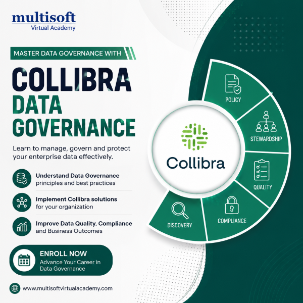 collibra-data-governance-training-certification-online-course-big-0