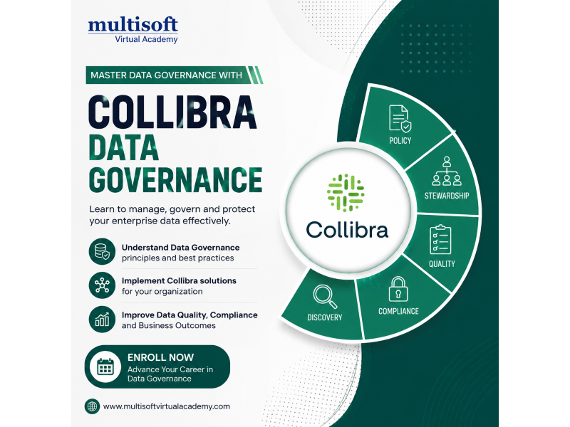 collibra-data-governance-training-certification-online-course-small-0
