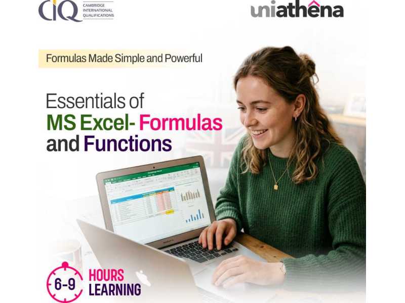 excel-functions-and-formulas-for-career-growth-uniathena-small-0