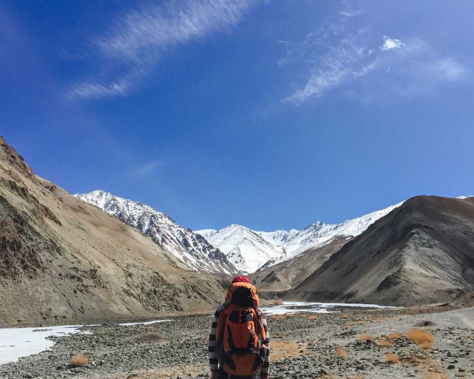 snow-leopard-expedition-spiti-wildlife-adventure-in-the-himalayas