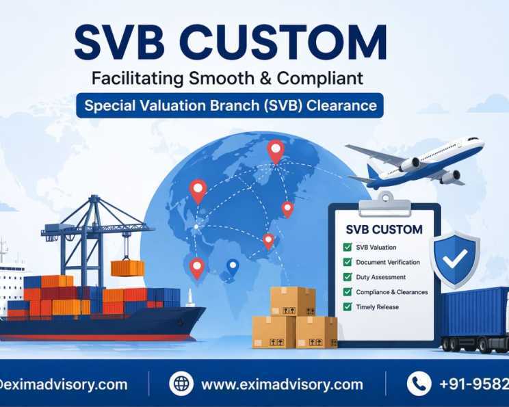 svb-custom-services-exim-advisory-india