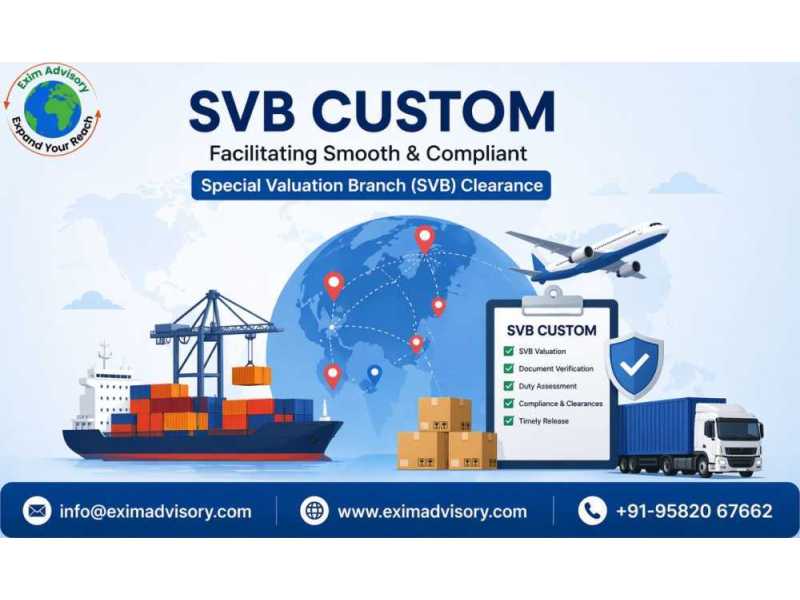 svb-custom-services-exim-advisory-india-small-0