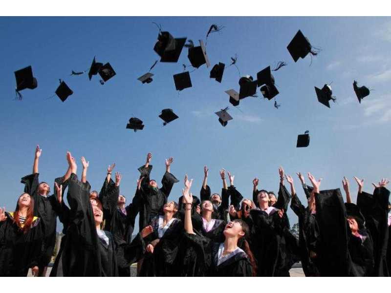 scholarship-portal-for-easy-applications-updates-small-0