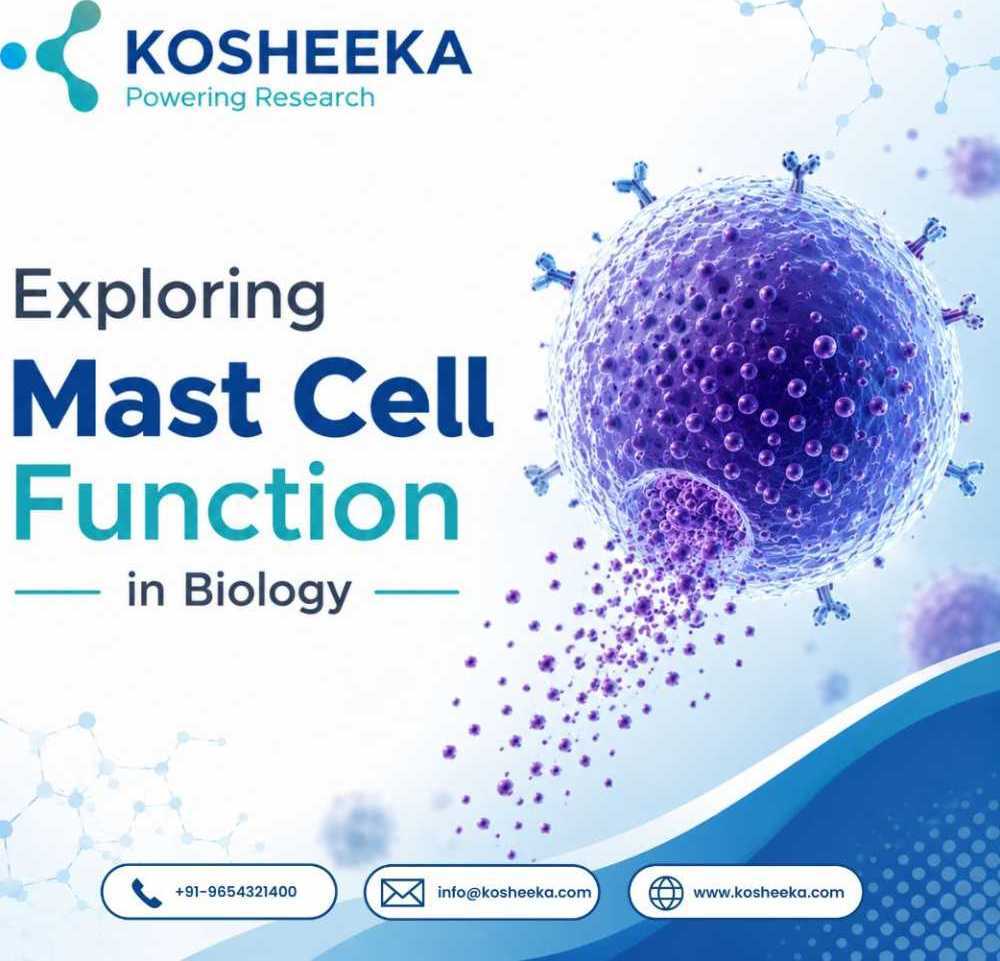 exploring-mast-cell-function-in-biology-big-0