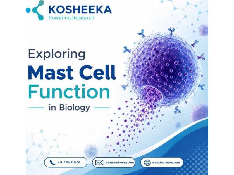 exploring-mast-cell-function-in-biology-small-0